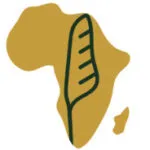 Group logo of African Institute of International Law (𝖤𝖭) — Institut Africain de Droit International (𝖥𝖱)